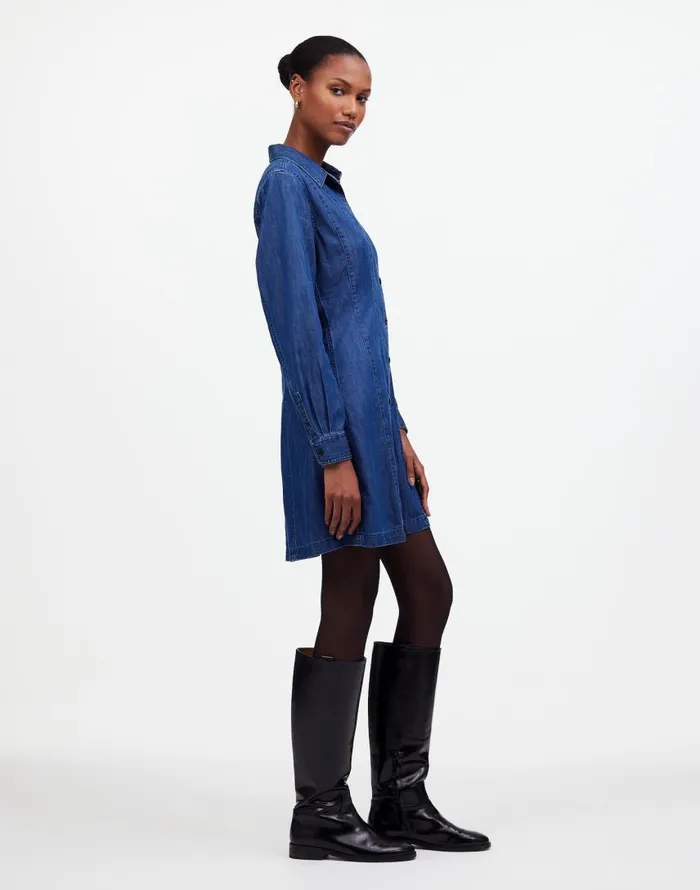 Dresses Women Madewell Denim Seamed Mini Dress In Clearfield Wash Clearfield Wash
