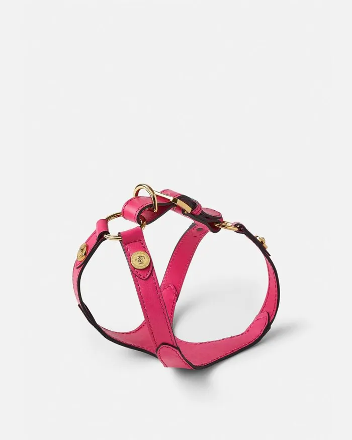 Icon Pet Harness Pink Home and Lifestyle Versace Pet Accessories