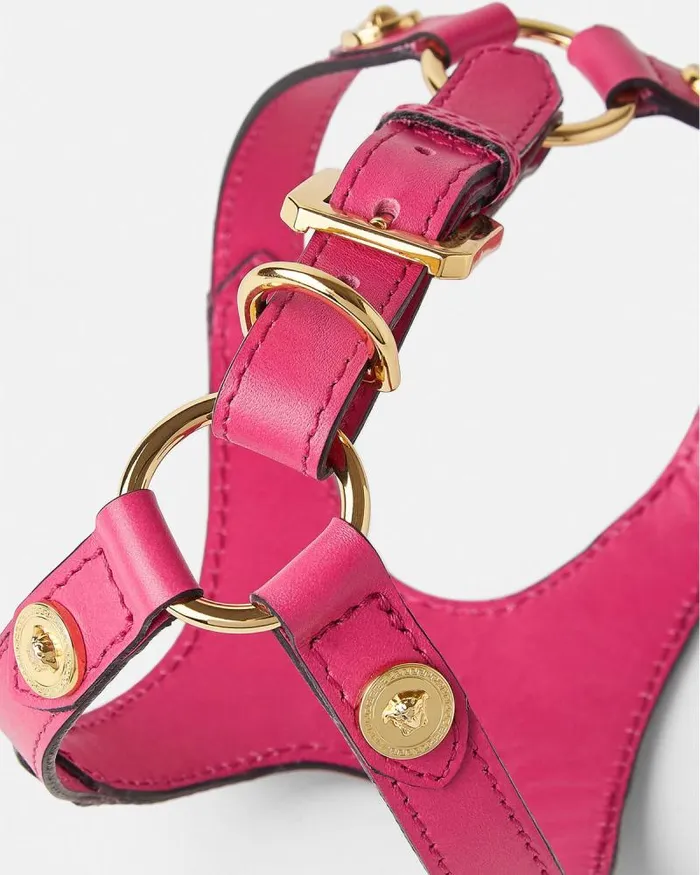 Icon Pet Harness Pink Home and Lifestyle Versace Pet Accessories