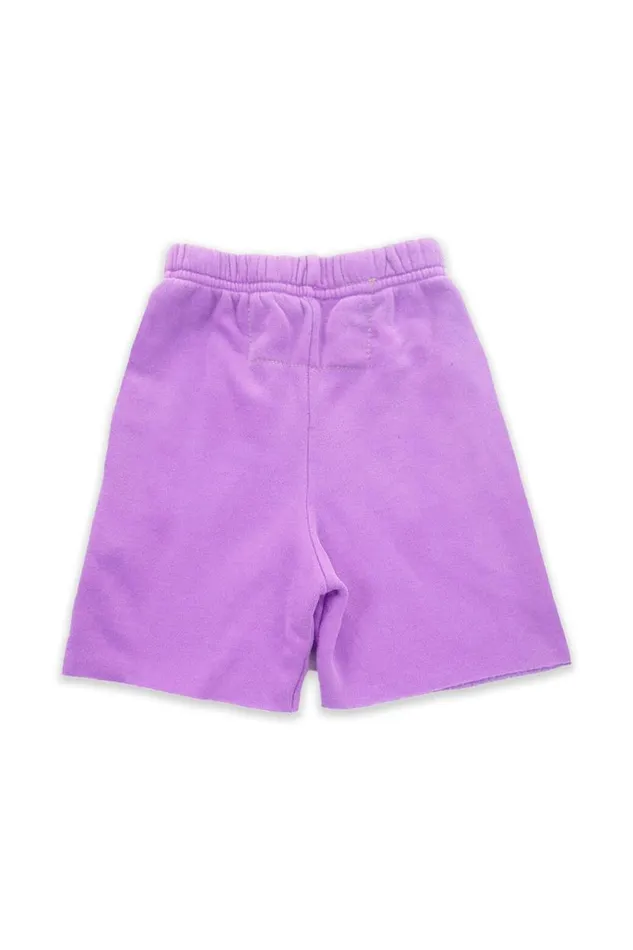 Logo Sweatshorts 8211 Neon Purple Kids Aviator Nation Shorts