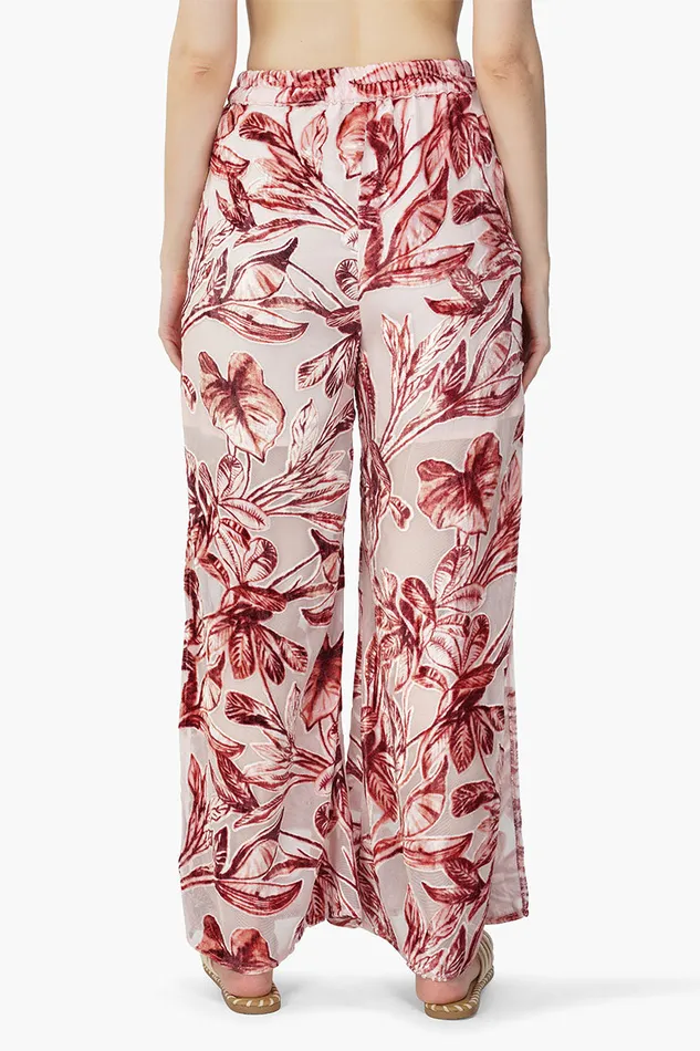 Pants America and Beyond Women Leaf Velvet Burntout Pants