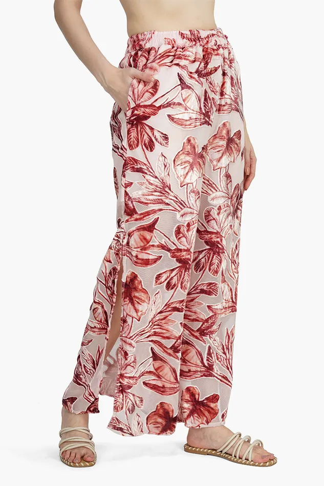 Pants America and Beyond Women Leaf Velvet Burntout Pants