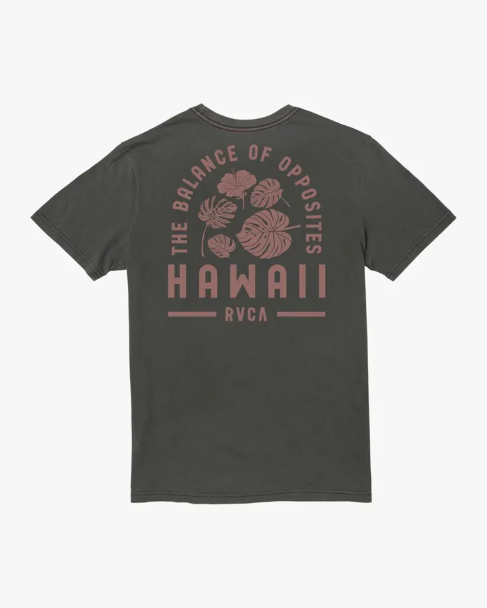RVCA Short Sleeves Hawaii Monstera Tee Pirate Black 8211 Men