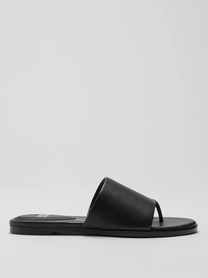 Shoes Women Eileen Fisher Edge Leather Slide Sandal Black