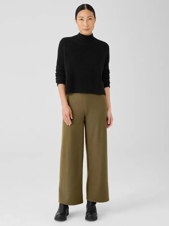 Sweaters and Cardigans Women Eileen Fisher Merino Cropped Turtleneck Top In RegenerativeWool Black