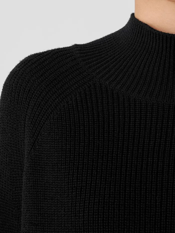 Sweaters and Cardigans Women Eileen Fisher Merino Cropped Turtleneck Top In RegenerativeWool Black