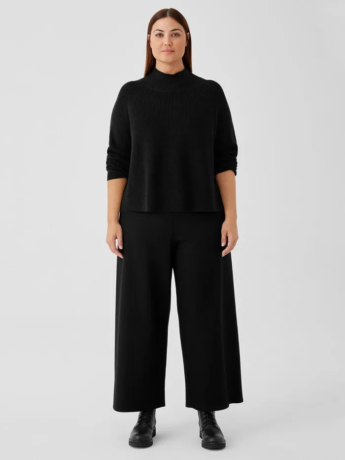 Sweaters and Cardigans Women Eileen Fisher Merino Cropped Turtleneck Top In RegenerativeWool Black