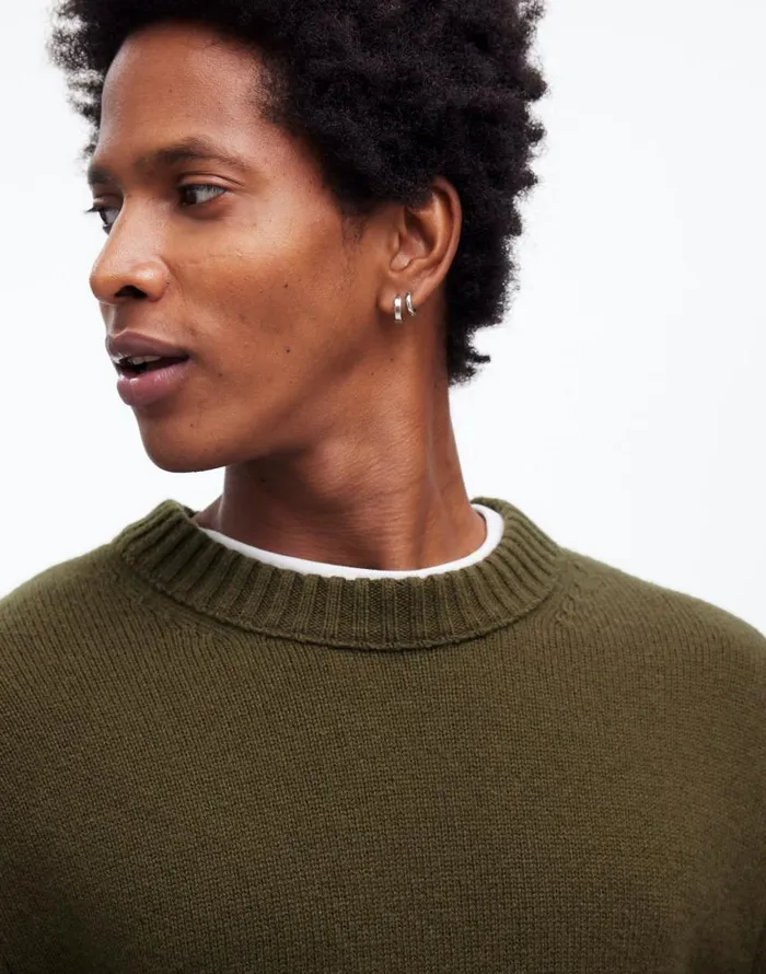 Sweaters Men Madewell Crewneck Sweater In SoftWool Foliage Green