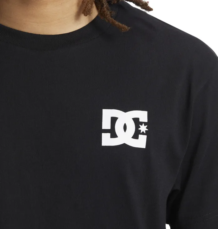 TShirts DC Shoes Men Star Wars DC Luke Glamour Shot TShirt black