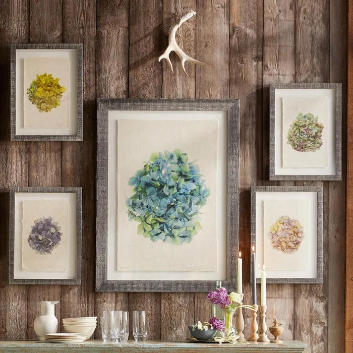 Women Hydrangea Studies Prints 1 Sundance Catalog Decor