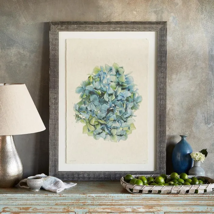 Women Hydrangea Studies Prints 1 Sundance Catalog Decor Women Hydrangea Studies Prints 1 Sundance Catalog Decor