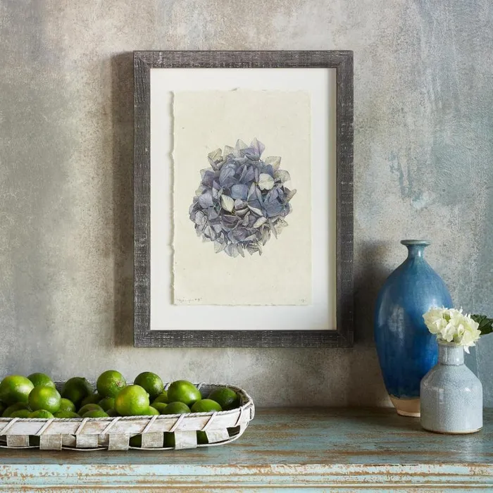 Women Hydrangea Studies Prints 1 Sundance Catalog Decor Women Hydrangea Studies Prints 1 Sundance Catalog Decor