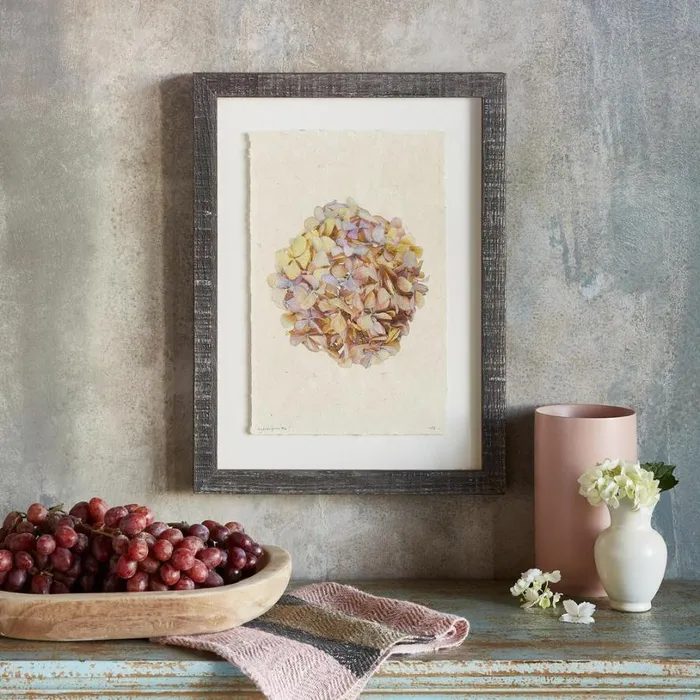 Women Hydrangea Studies Prints 1 Sundance Catalog Decor Women Hydrangea Studies Prints 1 Sundance Catalog Decor