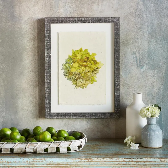 Women Hydrangea Studies Prints 1 Sundance Catalog Decor Women Hydrangea Studies Prints 1 Sundance Catalog Decor