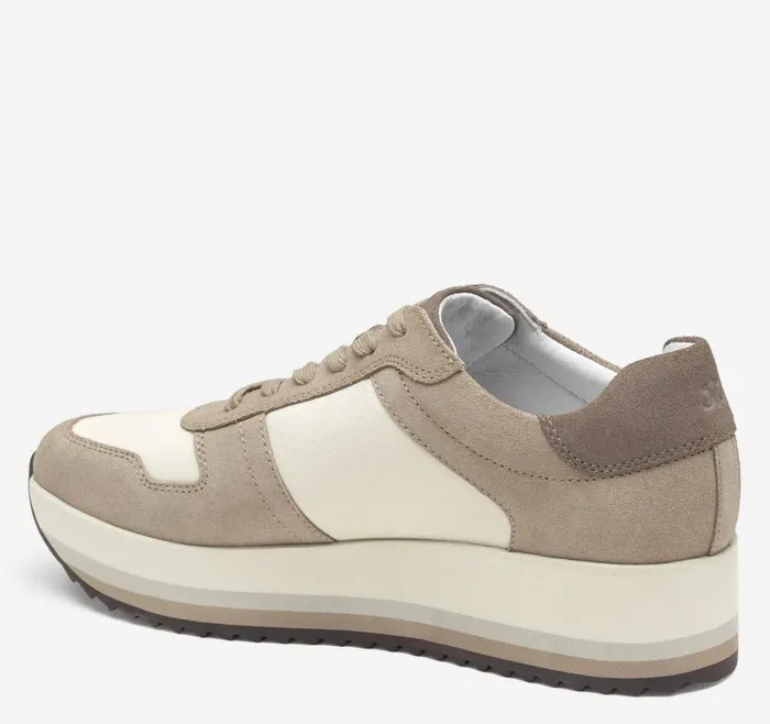 Women Johnston and Murphy Sneakers Gracie Colorblock LaceUp Taupe Suedebone Calfskin Women Johnston and Murphy Sneakers Gracie Colorblock LaceUp Taupe Suedebone Calfskin