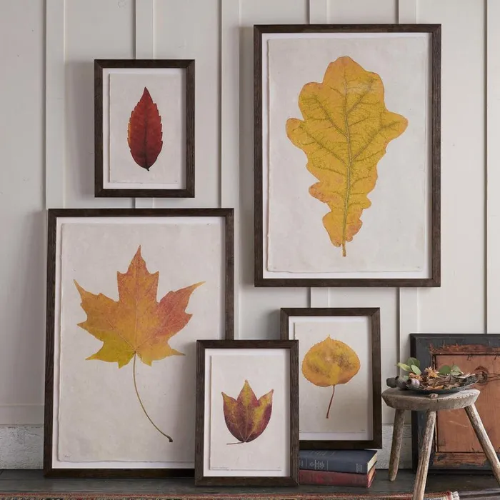 Women Leaf Studies Print Sundance Catalog Decor Women Leaf Studies Print Sundance Catalog Decor