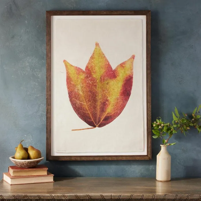 Women Leaf Studies Print Sundance Catalog Decor Women Leaf Studies Print Sundance Catalog Decor