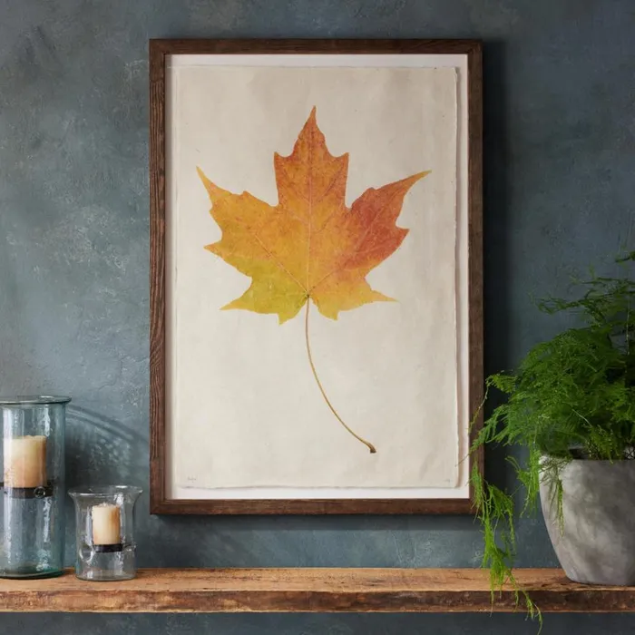 Women Leaf Studies Print Sundance Catalog Decor Women Leaf Studies Print Sundance Catalog Decor