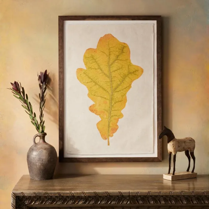 Women Leaf Studies Print Sundance Catalog Decor Women Leaf Studies Print Sundance Catalog Decor