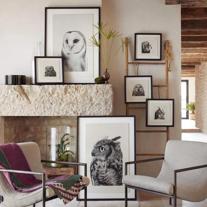 Women Owl Prints 1 Sundance Catalog Decor