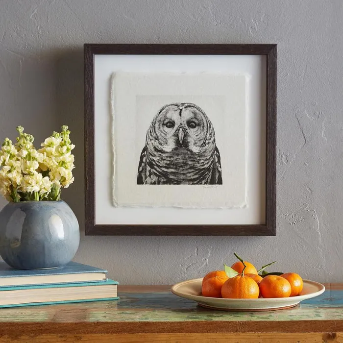 Women Owl Prints 1 Sundance Catalog Decor Women Owl Prints 1 Sundance Catalog Decor