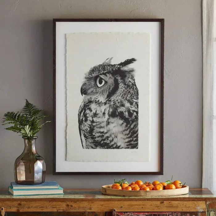 Women Owl Prints 1 Sundance Catalog Decor Women Owl Prints 1 Sundance Catalog Decor