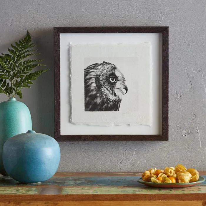 Women Owl Prints 1 Sundance Catalog Decor Women Owl Prints 1 Sundance Catalog Decor